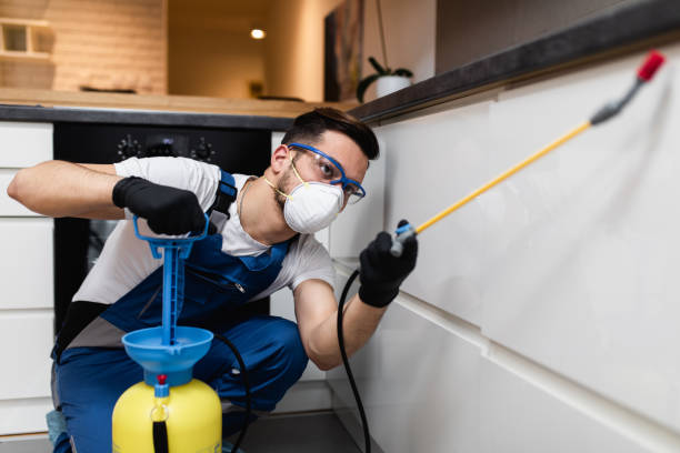 Best Pest Control Near Me  in Rice Lake, MN