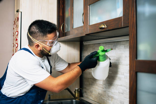 Best Exterminator Services  in Rice Lake, MN