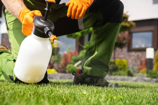 Best Emergency Pest Control  in Rice Lake, MN