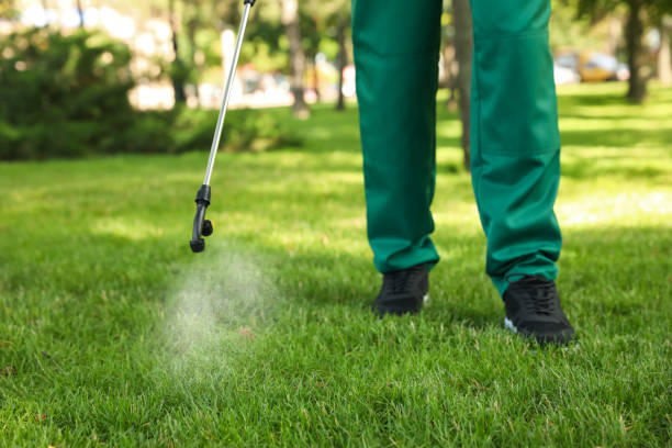 Best Rat Extermination Near Me  in Rice Lake, MN