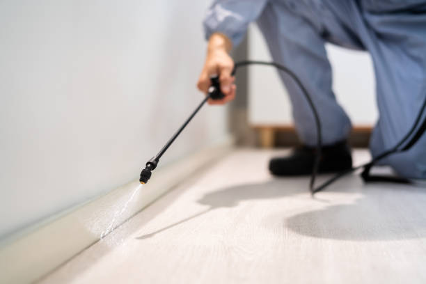 Professional Pest Control in Rice Lake, MN