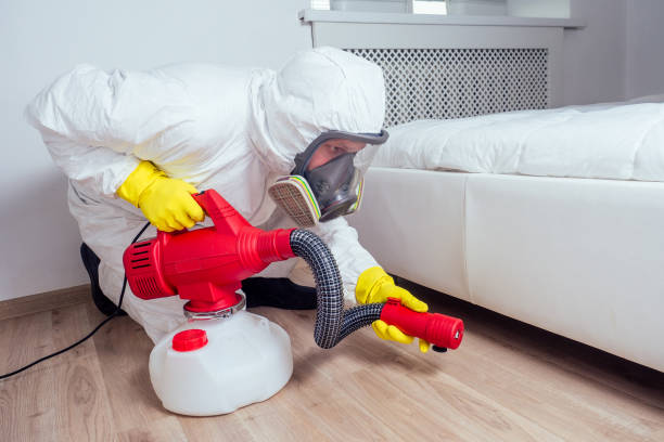 Best Pest Inspection Near Me  in Rice Lake, MN