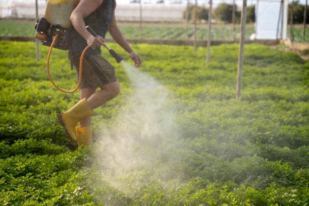 Best Pest Control for Businesses  in Rice Lake, MN
