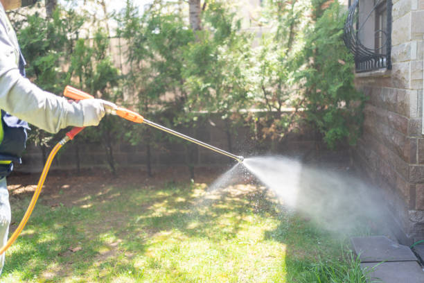 Best Pest Prevention Services  in Rice Lake, MN