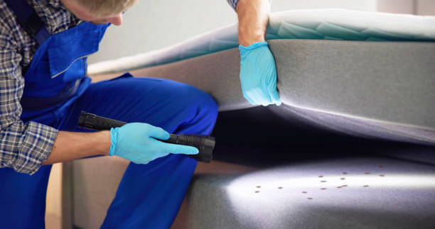 Best Mosquito Control Services  in Rice Lake, MN