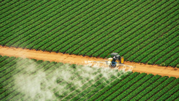 Best Commercial Pest Control Services  in Rice Lake, MN