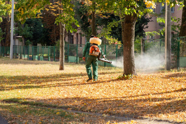 Best Cockroach Control Services  in Rice Lake, MN