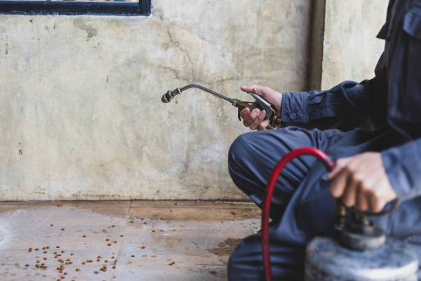 Best Local Pest Control Services  in Rice Lake, MN